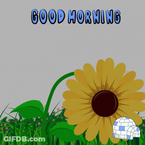 Sunflower Saying Good Morning GIF