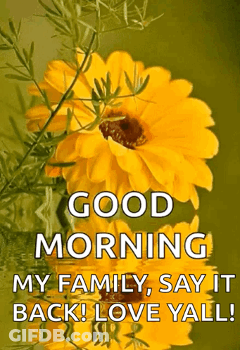 Sunflower Saying Good Morning Love Yall GIF
