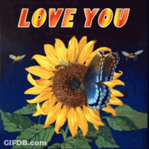 Sunflower With Blue Butterfly Saying Love You GIF