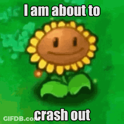 Sunflower With Face I Am About To Crash Out GIF