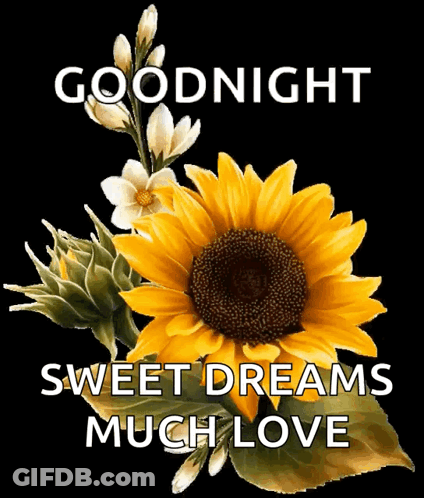 Sunflower With Goodnight Sweet Dreams GIF