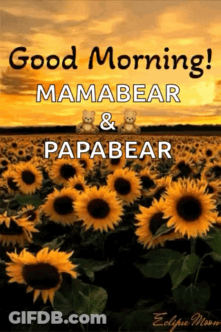 Sunflowers Field Good Morning Mamabear Papabear GIF