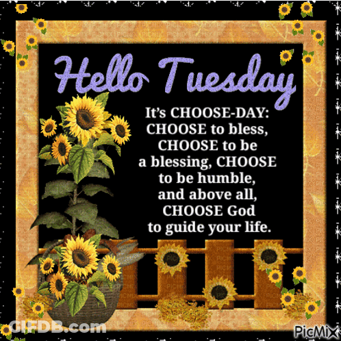 Sunflowers Hello Tuesday GIF