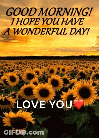 Sunflowers Saying Good Morning I Hope You Have A Wonderful Day Love You GIF