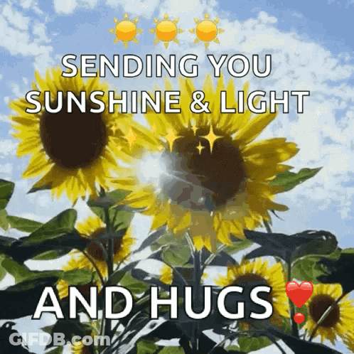 Sunflowers Sending Hugs GIF