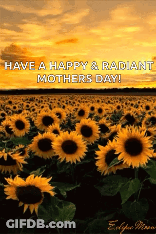 Sunflowers With Happy Mother's Day GIF