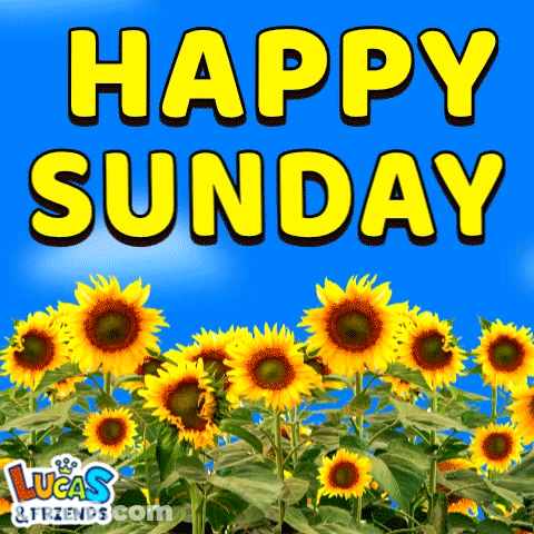 Sunflowers With Happy Sunday Lucas And Friends GIF