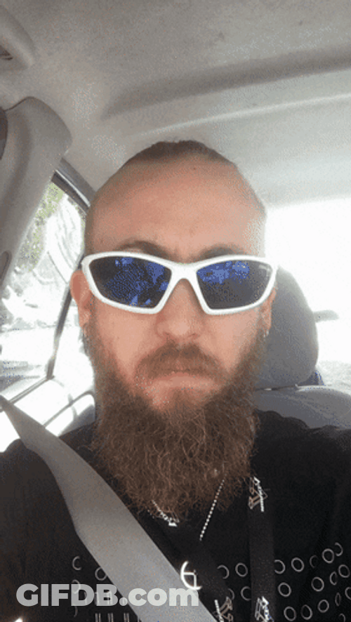 Sunglass Eye Brow Raise GIF