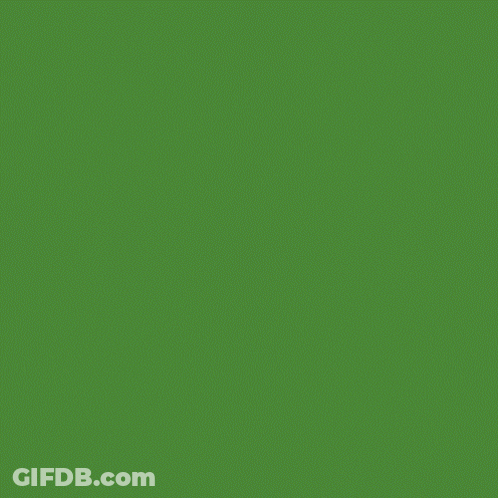 Sunglasses Day Poster With Green Background GIF