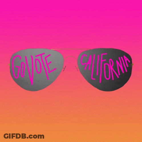 Sunglasses Saying Vote California GIF