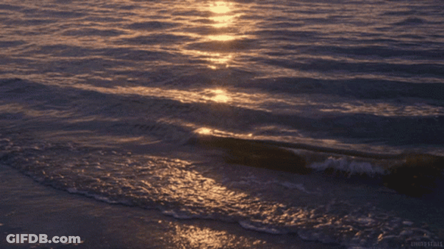 Sunkissed Blue Wave GIF