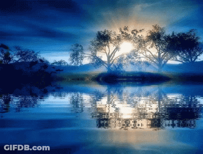Sunlight Calming Water GIF