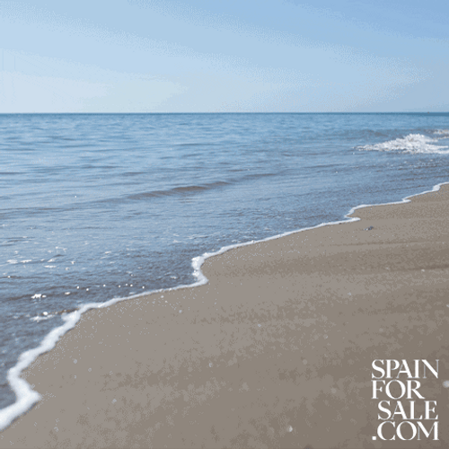 Sunny Beachside See You Soon GIF