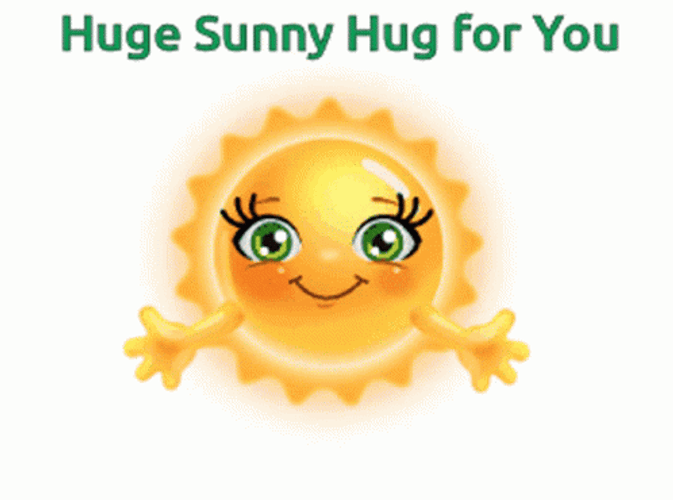 Sunny Big Hug For You GIF
