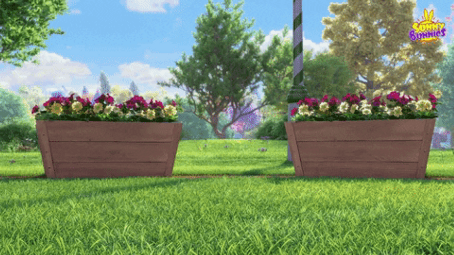 Sunny Bunnies Looking For Something GIF