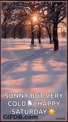 Sunny Cold Saturday In Snowy Park GIF