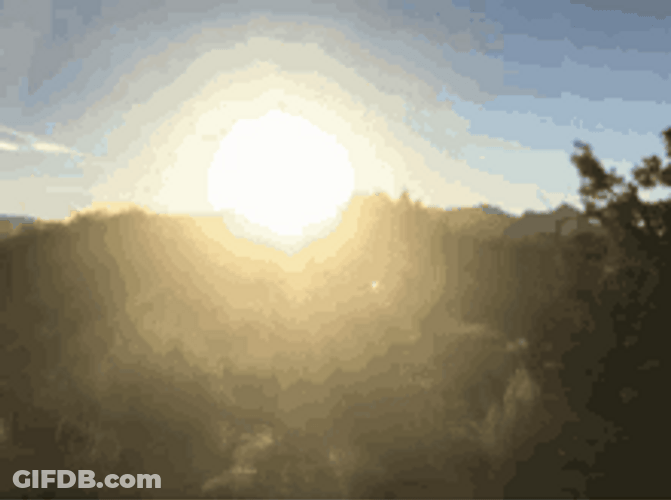 Sunny Day Sunrise Beautiful View Trees GIF