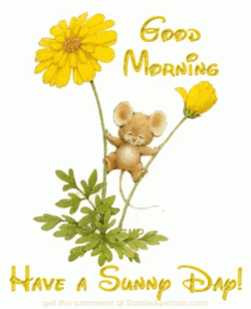 Sunny Happy Saturday Good Morning GIF
