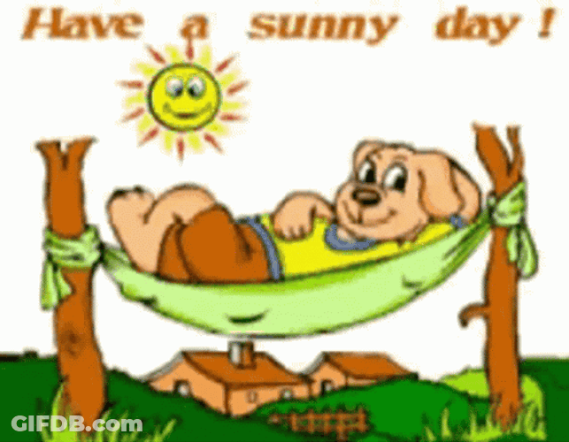 Sunny Saturday Hammock GIF