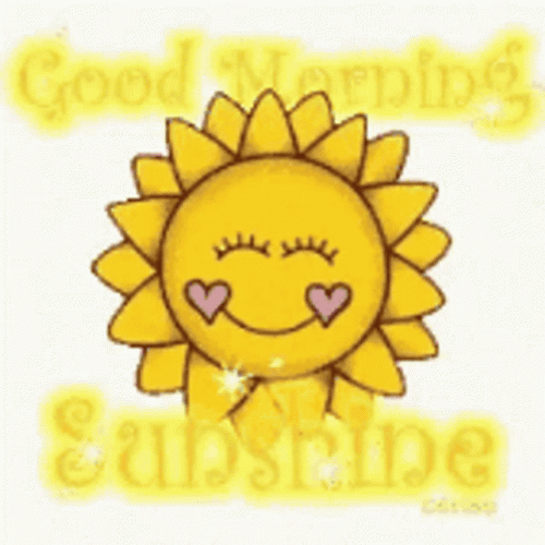 Sunny Saturday Morning Sunshine GIF