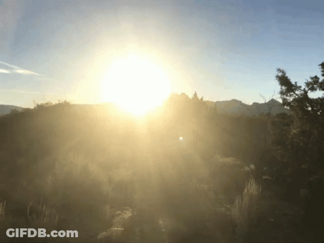 Sunny Saturday Sunshine GIF