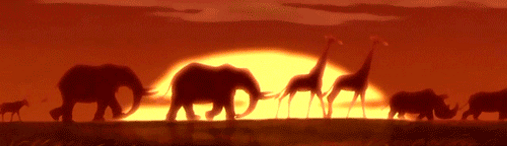 Sunrise Animals The Lion King GIF