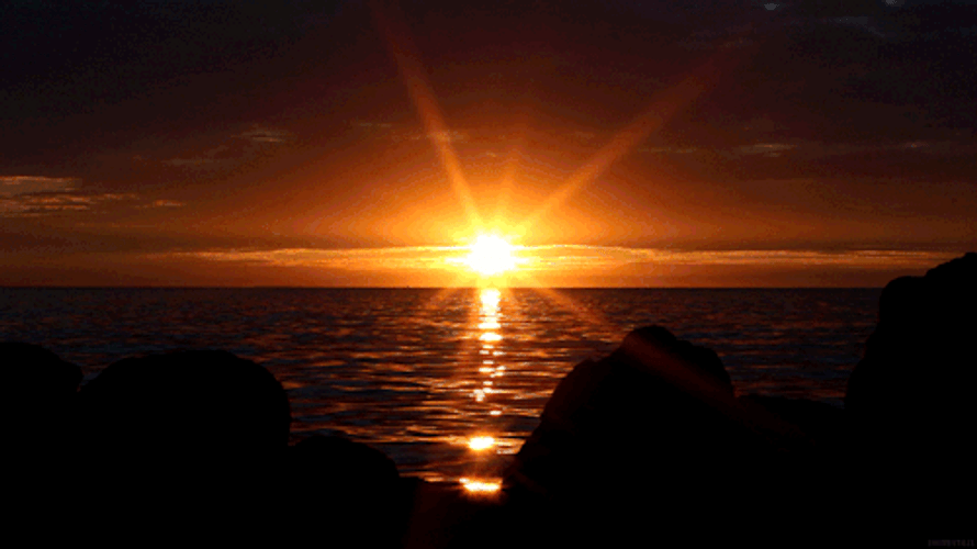 Sunrise Beach Landscape GIF