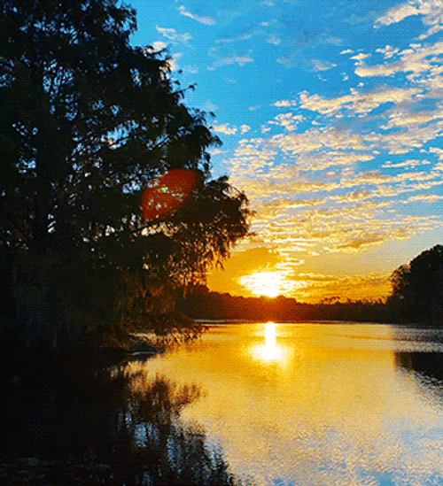 Sunrise Blue Sky Water GIF