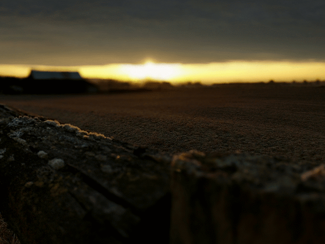 Sunrise Outdoor  Focus GIF