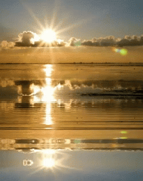 Sunrise Water Reflection GIF