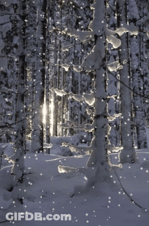 Sunrise While Snowing GIF