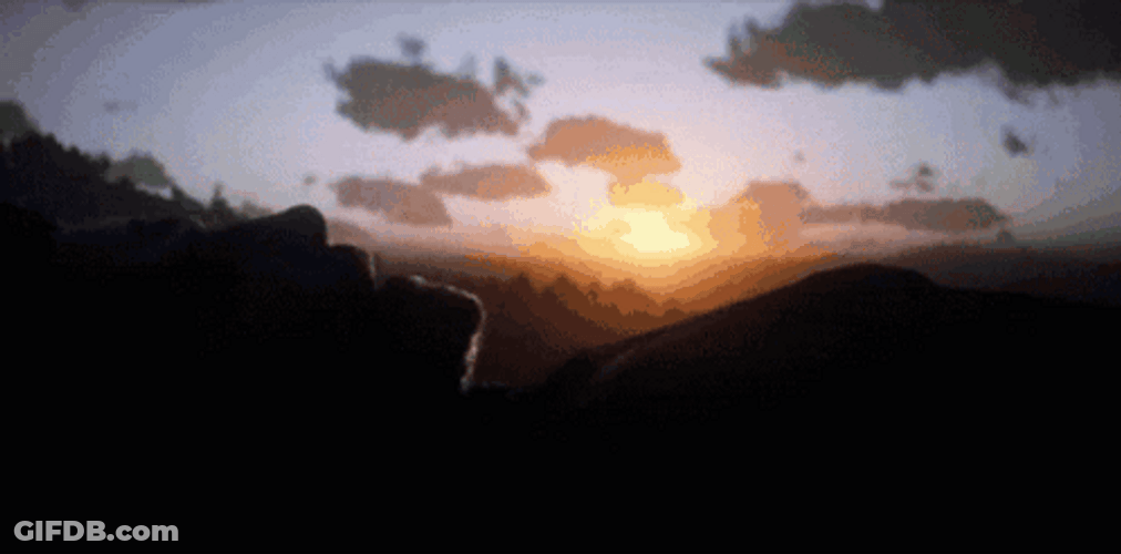 Sunset Arthur Morgan Silhouette GIF