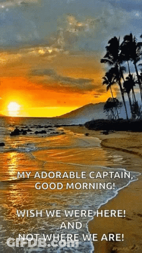 Sunset Beach Saying My Adorable Captain Good Morning GIF