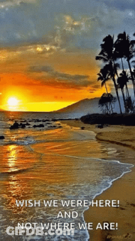 Sunset Beach Wish We Were Here And Not Where We Are GIF