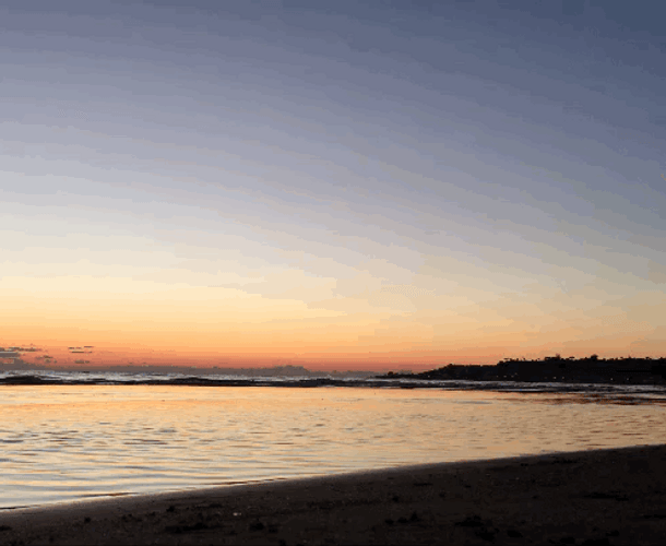 Sunset Man Dog Beach Running GIF