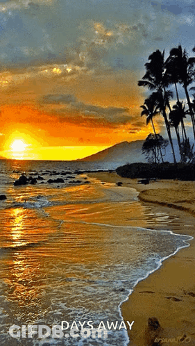 Sunset On Beach Days Away GIF