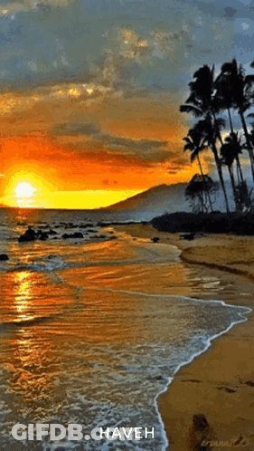 Sunset On Beach With Haveh GIF