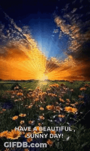 Sunset Over Flower Field GIF