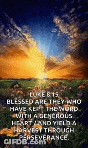 Sunset Over Flower Field With Bible Verse GIF