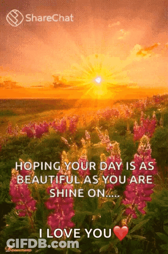 Sunset Over Flower Field With Hopeful Message GIF