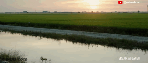 Sunset Over Lush Green Field With YouTube Watermark GIF