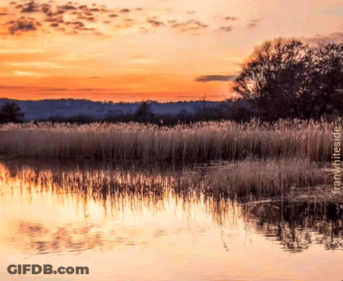 Sunset Over Water Franwhiteside GIF