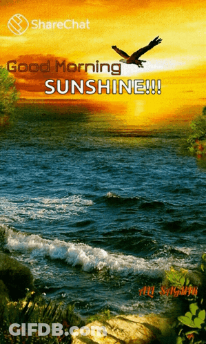 Sunset Over Water Saying Good Morning Sunshine GIF