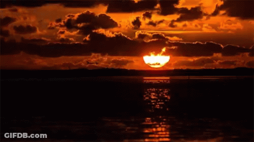 Sunset Over Water With Bird In Distance GIF