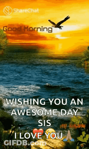 Sunset Over Water With Flying Bird GIF