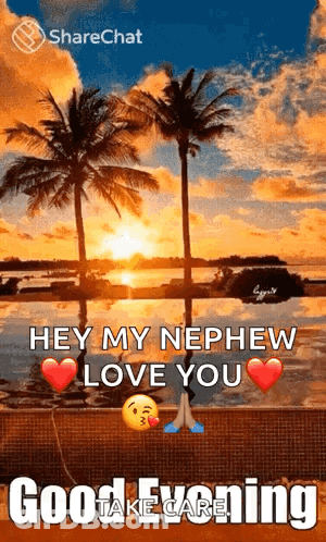 Sunset Over Water With Palm Trees Saying Hey My Nephew Love You Good Evening GIF