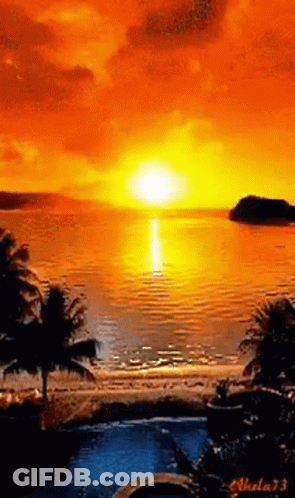 Sunset Over Water With Palm Trees GIF