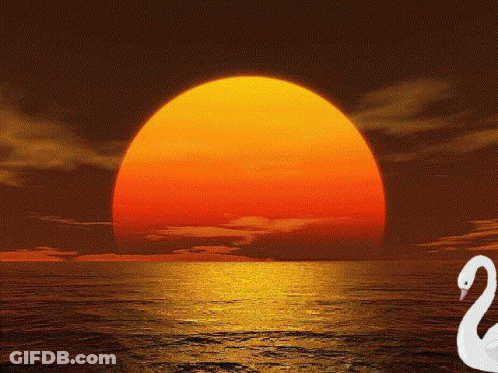 Sunset Over Water With Swan GIF