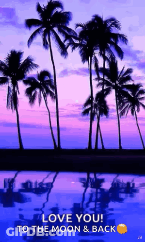 Sunset Palm Trees Love You To The Moon And Back GIF