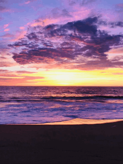 Sunset Purple Pink GIF